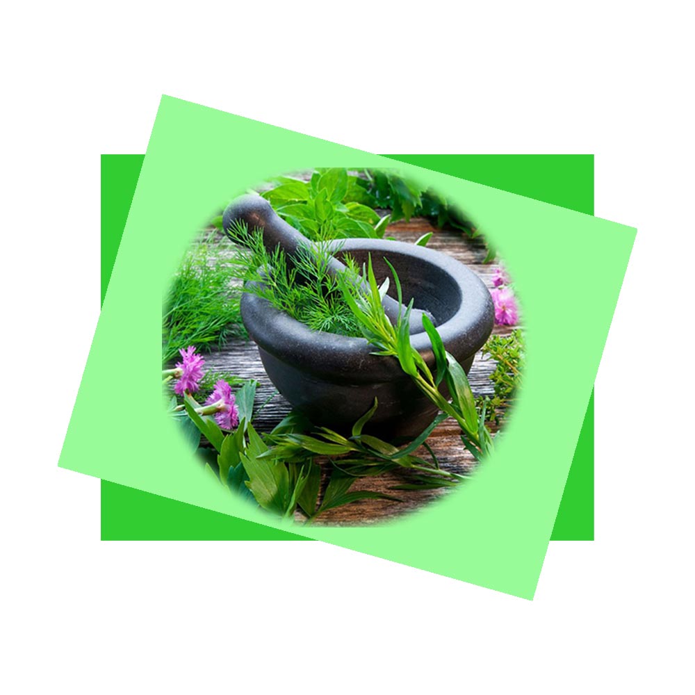 Medicinal plants